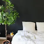 Nocleg ze śniadaniem Maison Merci - 3*