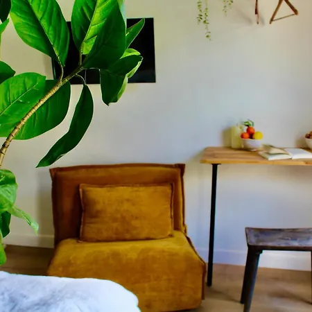 Maison Merci - 3* قرقشونه