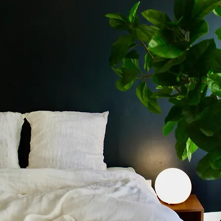 Maison Merci - فندق مبيت وإفطار قرقشونه