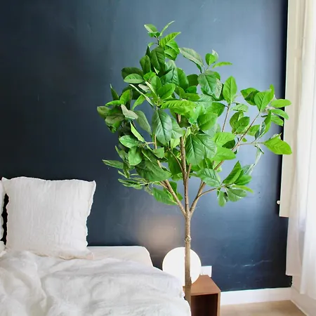 Maison Merci - 3* قرقشونه
