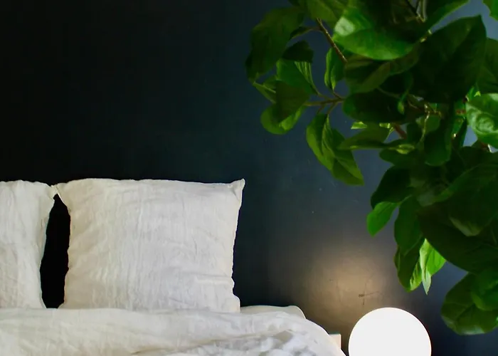 Maison Merci - Bed and breakfast Carcasona