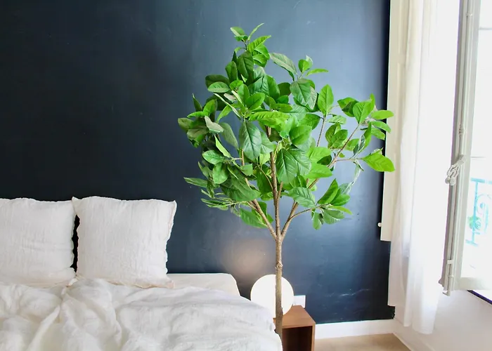 Maison Merci - 3* Carcasona